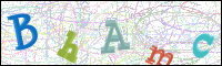 Afbeeldingsverificatie